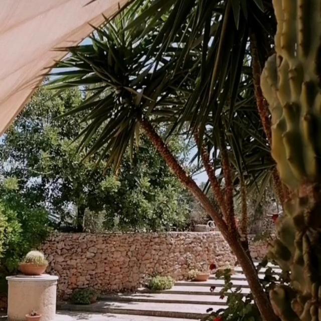 Masseria Agriturismo Il Sorriso Degli Ulivi - Dimora Di Charme Gallipoli Dış mekan fotoğraf