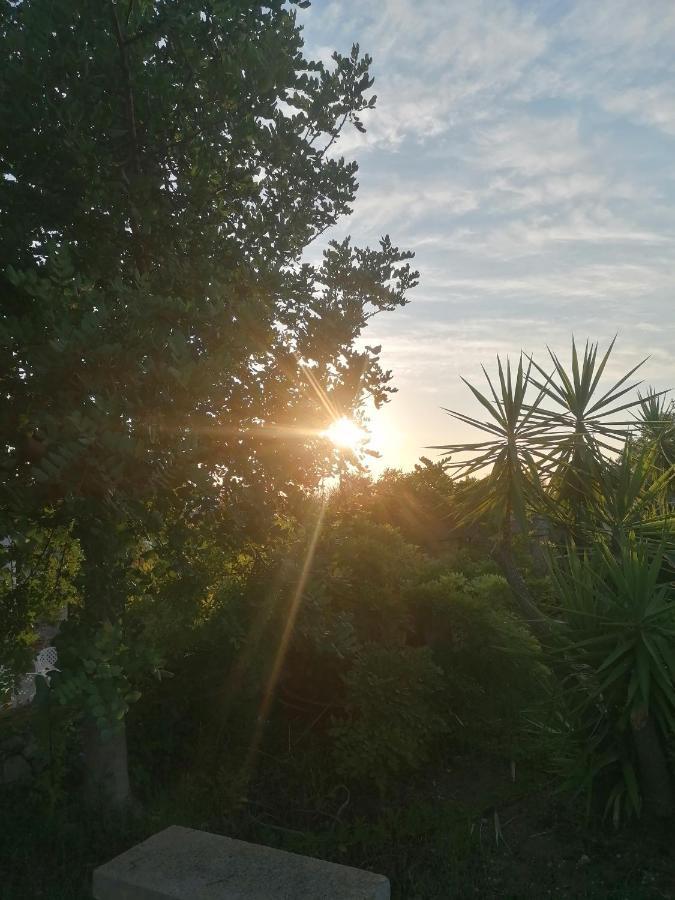 Masseria Agriturismo Il Sorriso Degli Ulivi - Dimora Di Charme Gallipoli Dış mekan fotoğraf
