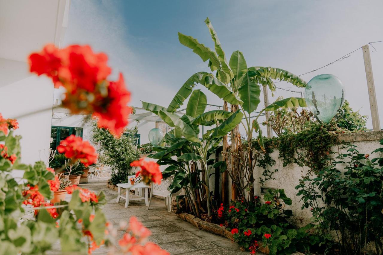 Masseria Agriturismo Il Sorriso Degli Ulivi - Dimora Di Charme Gallipoli Dış mekan fotoğraf