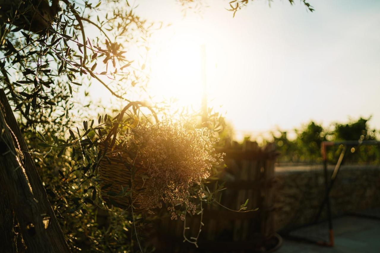 Masseria Agriturismo Il Sorriso Degli Ulivi - Dimora Di Charme Gallipoli Dış mekan fotoğraf
