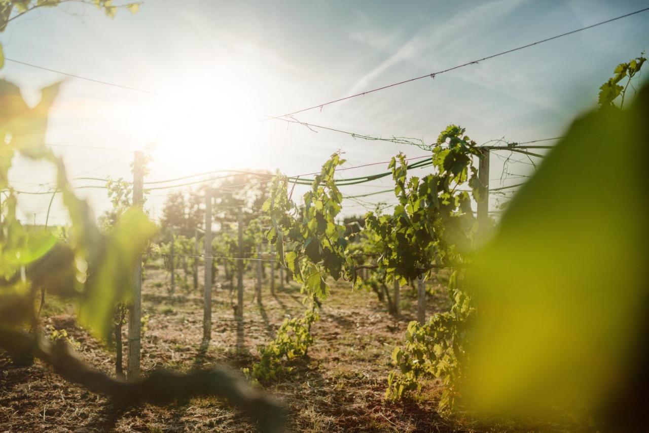 Masseria Agriturismo Il Sorriso Degli Ulivi - Dimora Di Charme Gallipoli Dış mekan fotoğraf